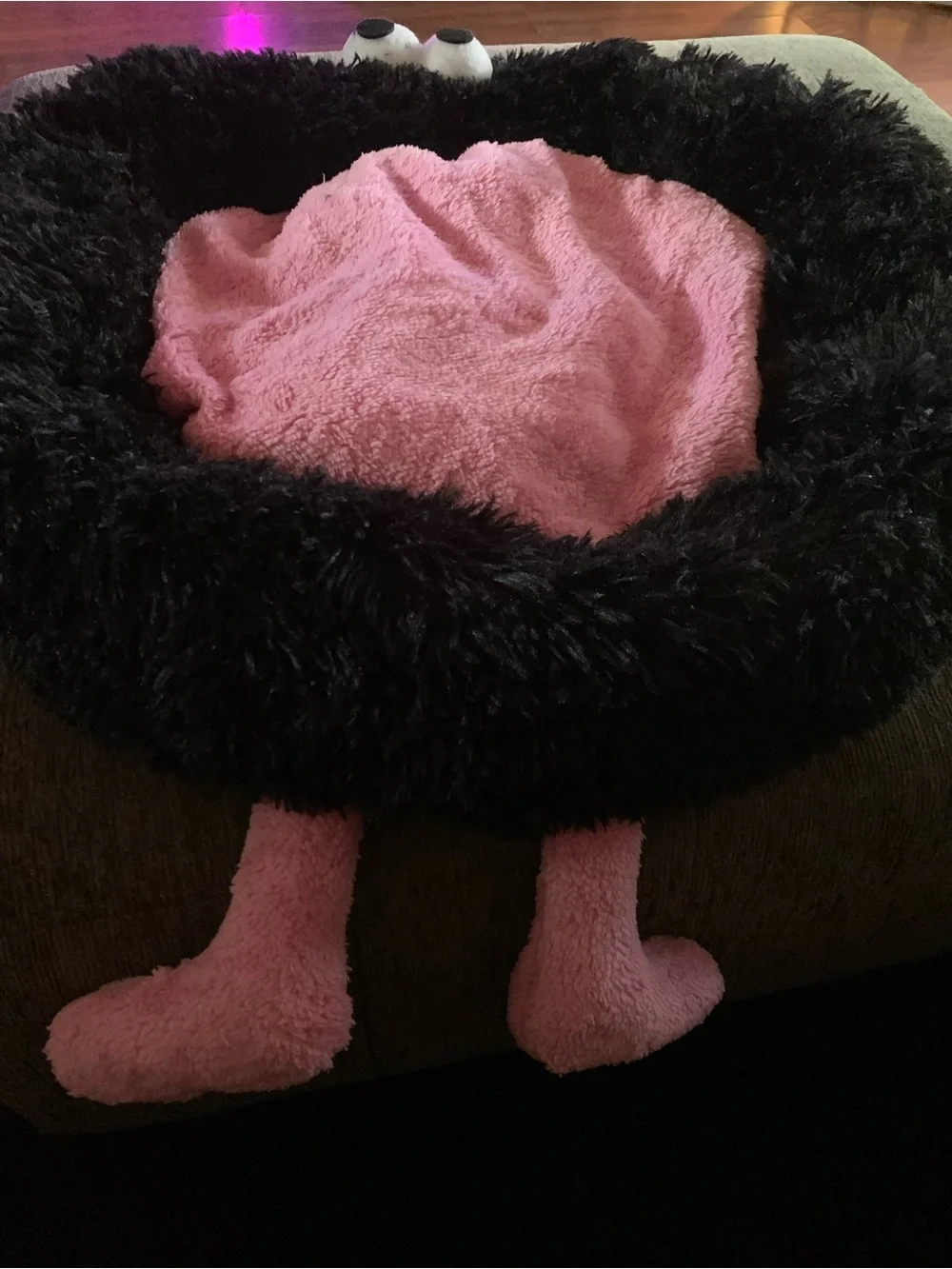 Cute Calming Dog Bed Indoor